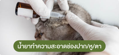 น้ำยาทำความสะอาดช่องปาก & หู & ตา
